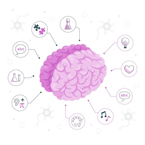 kanwa-mozg-neuro Mózg i funkcje poznawcze.